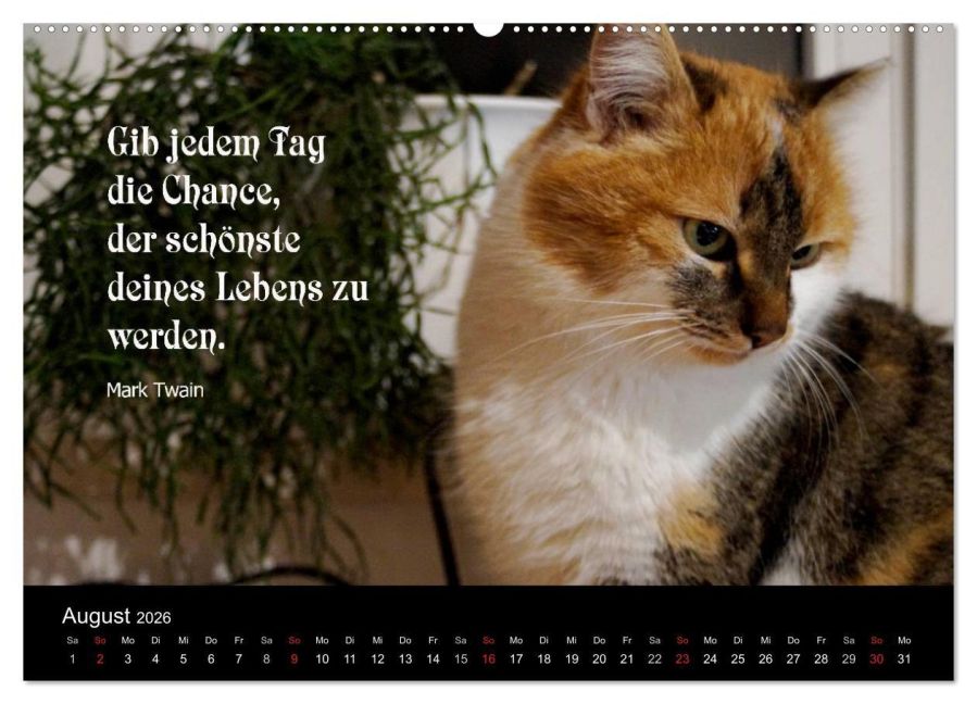 additionalImage12