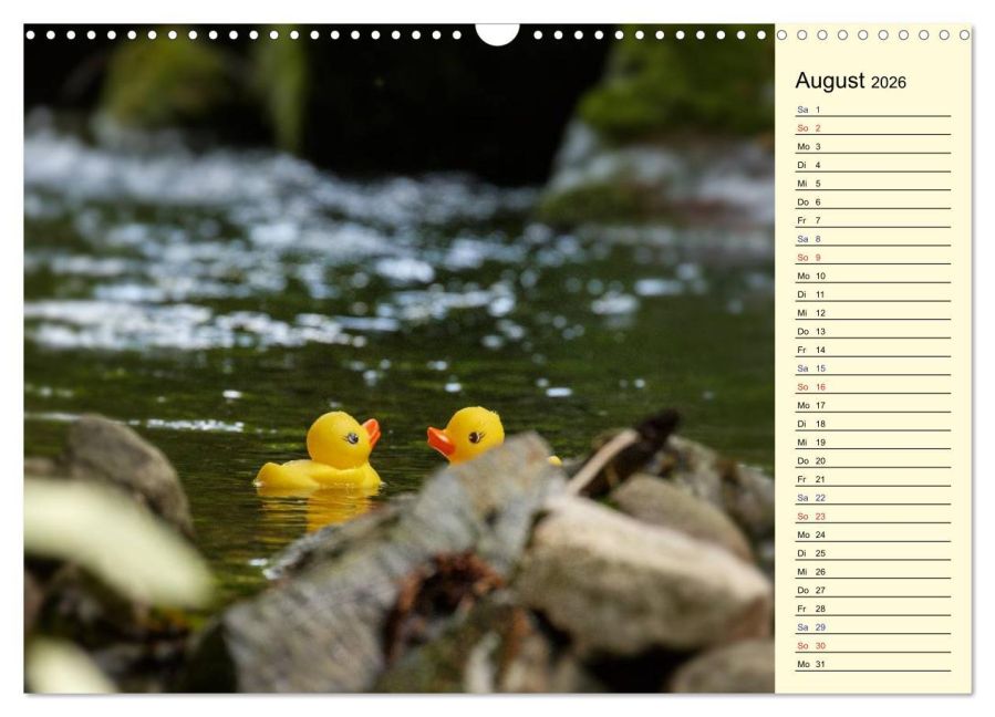additionalImage13
