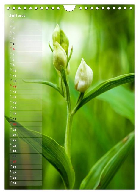 additionalImage12