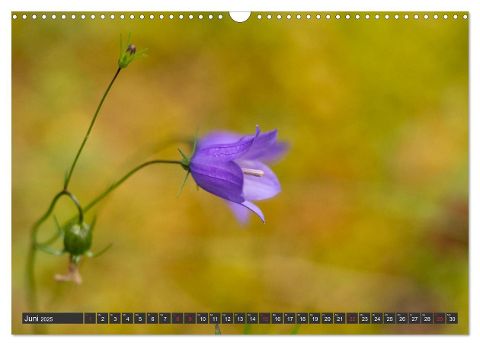 additionalImage11