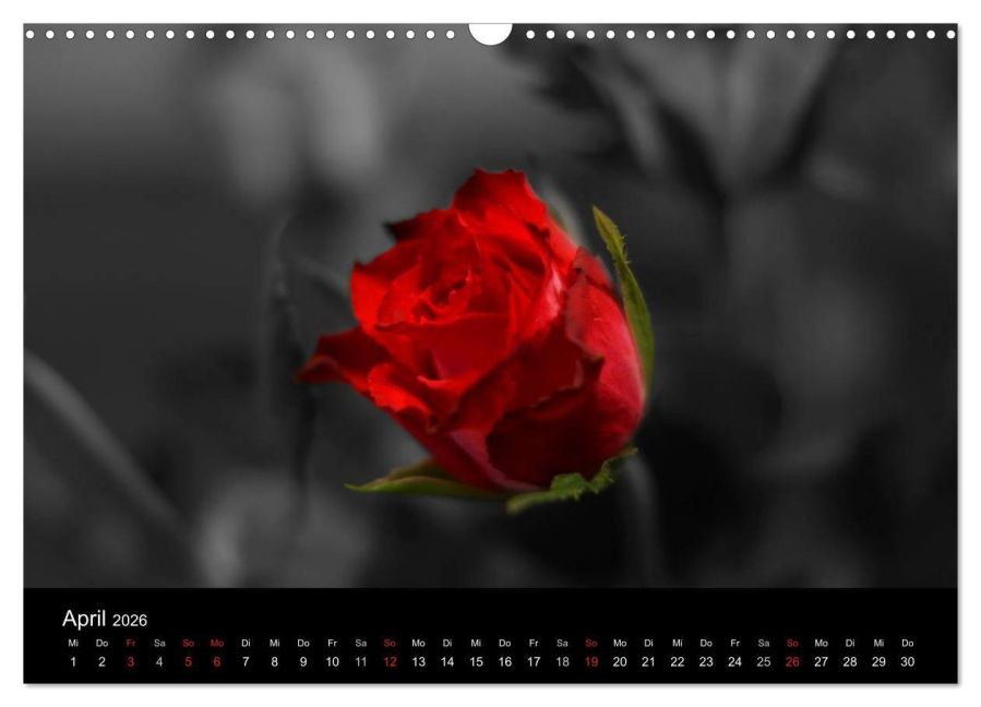 additionalImage9