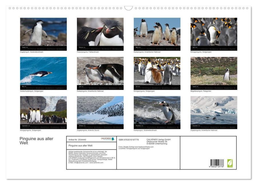 additionalImage5