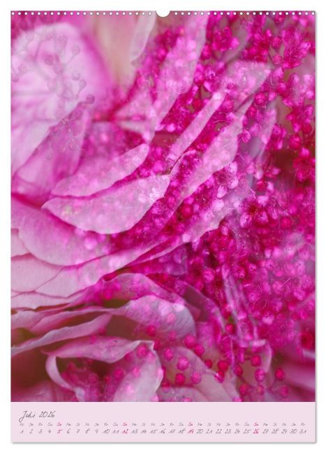 additionalImage11