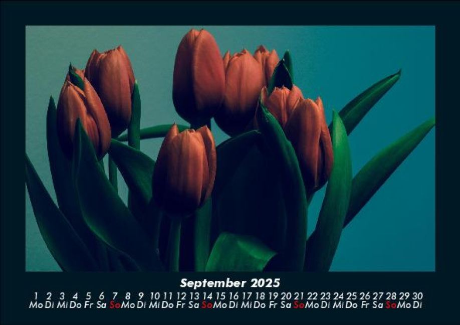 additionalImage1