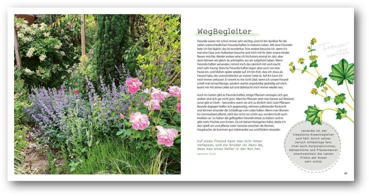 additionalImage1