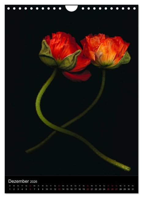 additionalImage4