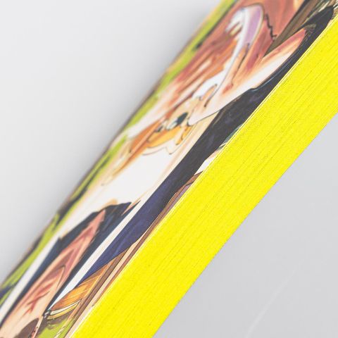 additionalImage4