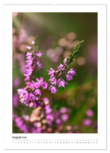 additionalImage12