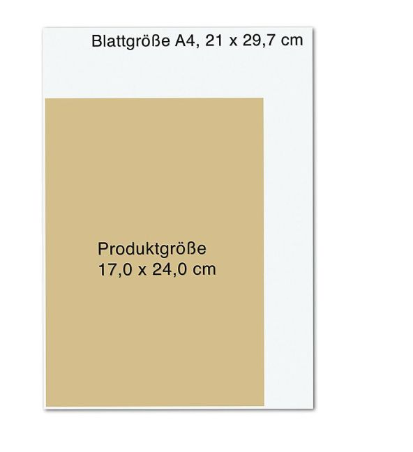 additionalImage11