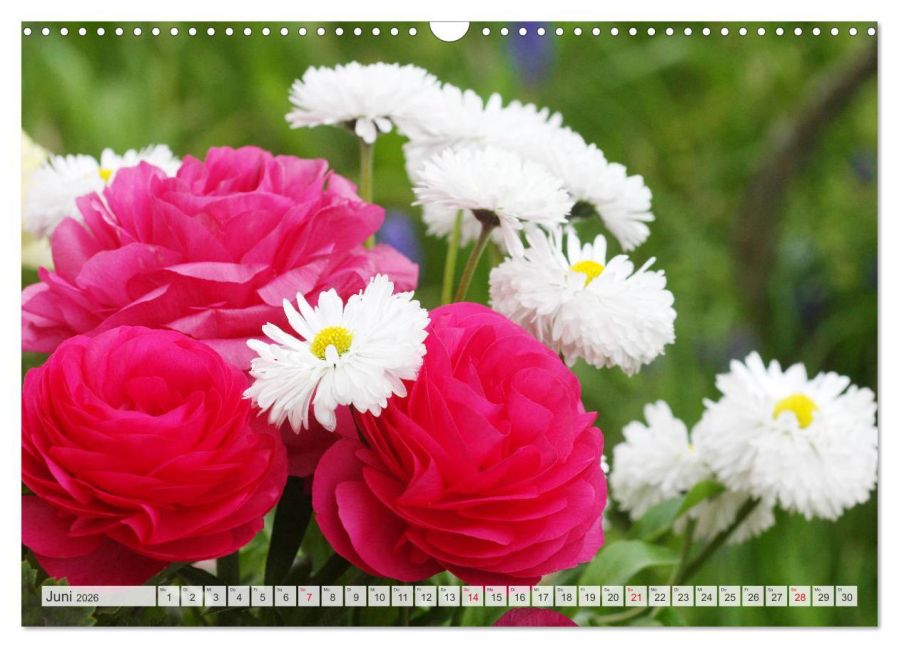 additionalImage11