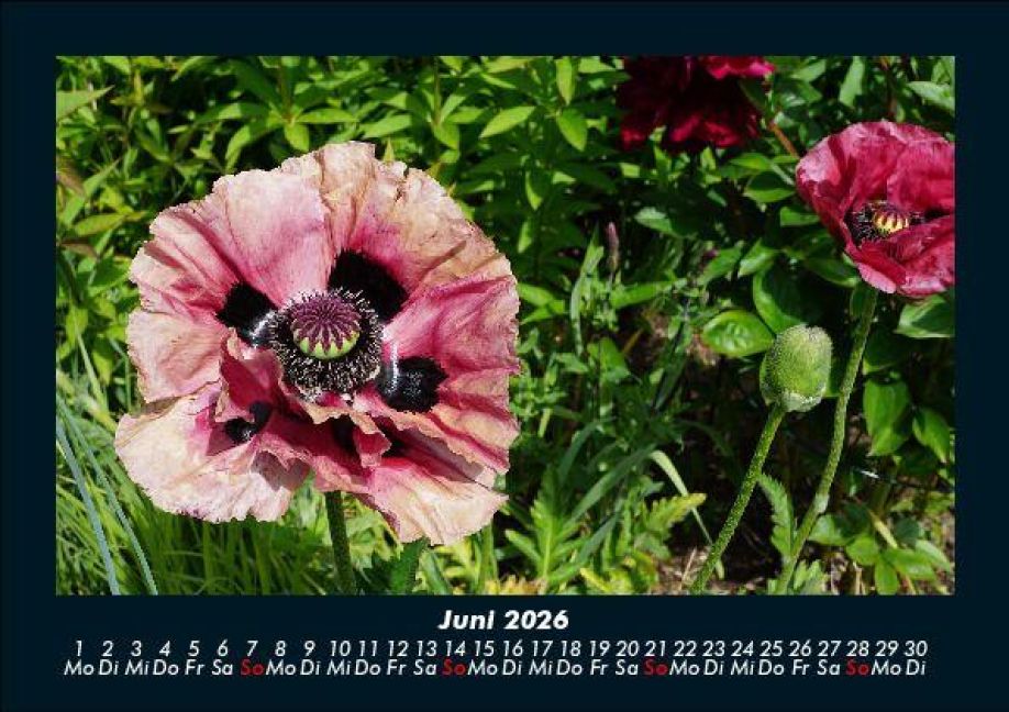 additionalImage10