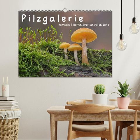 additionalImage1