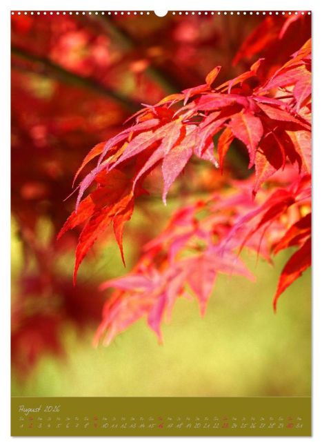 additionalImage12