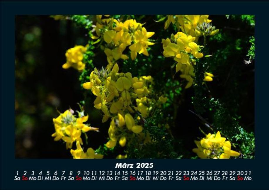 additionalImage7