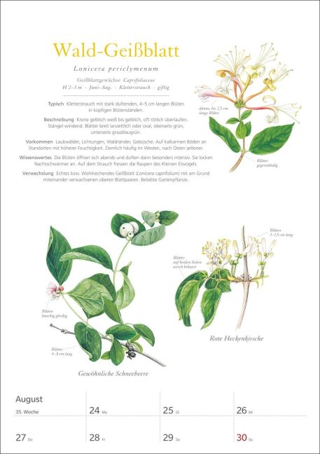 additionalImage12
