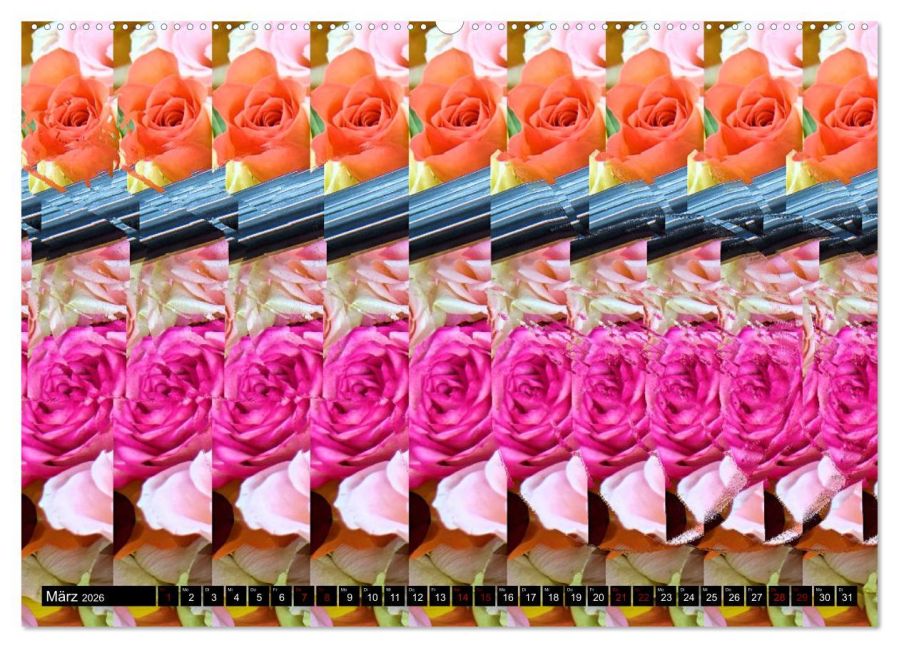 additionalImage7