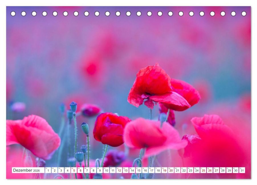 additionalImage4