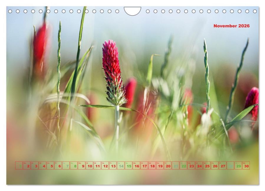 additionalImage3