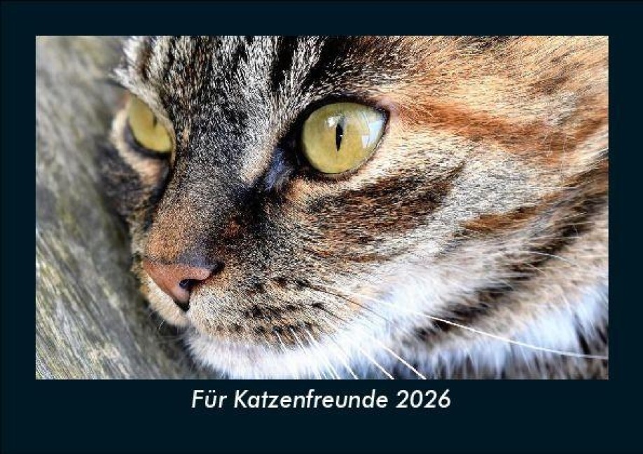 Für Katzenfreunde 2026 Fotokalender DIN A5 - Tobias Becker