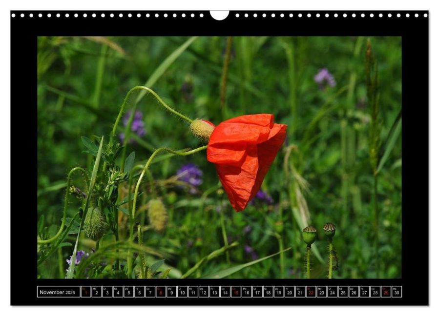additionalImage3