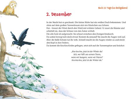 additionalImage2