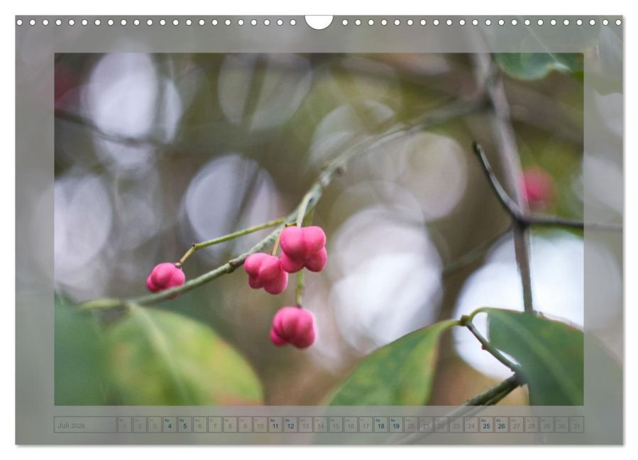 additionalImage12
