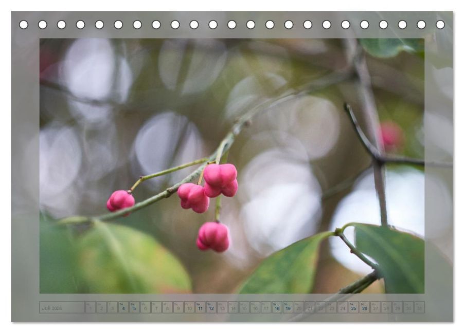 additionalImage12