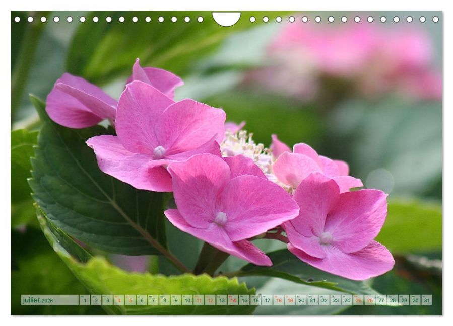 additionalImage12