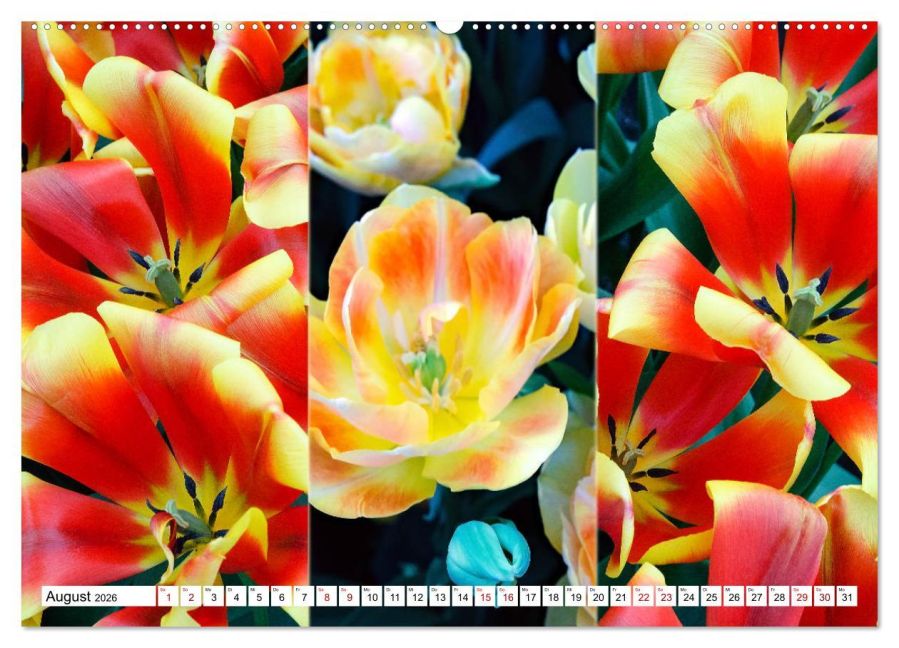 additionalImage12