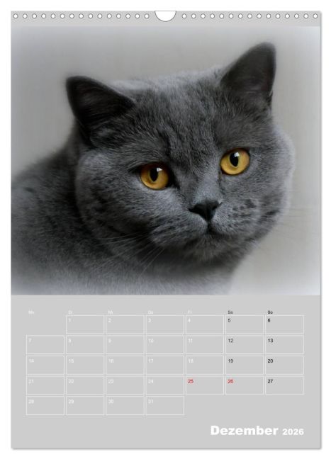 additionalImage4