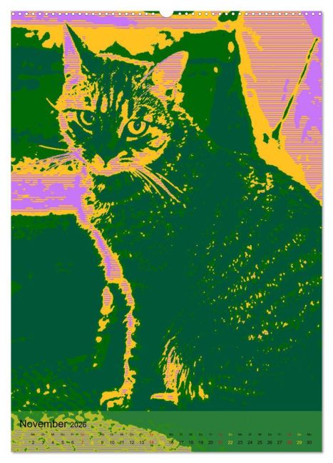 additionalImage2