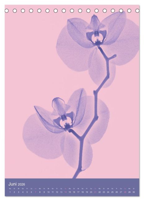 additionalImage11