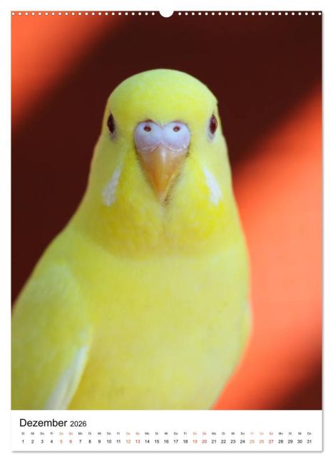additionalImage3