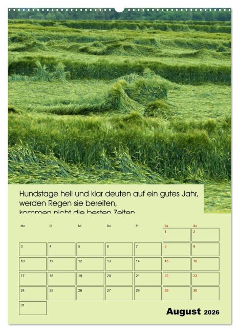 additionalImage13