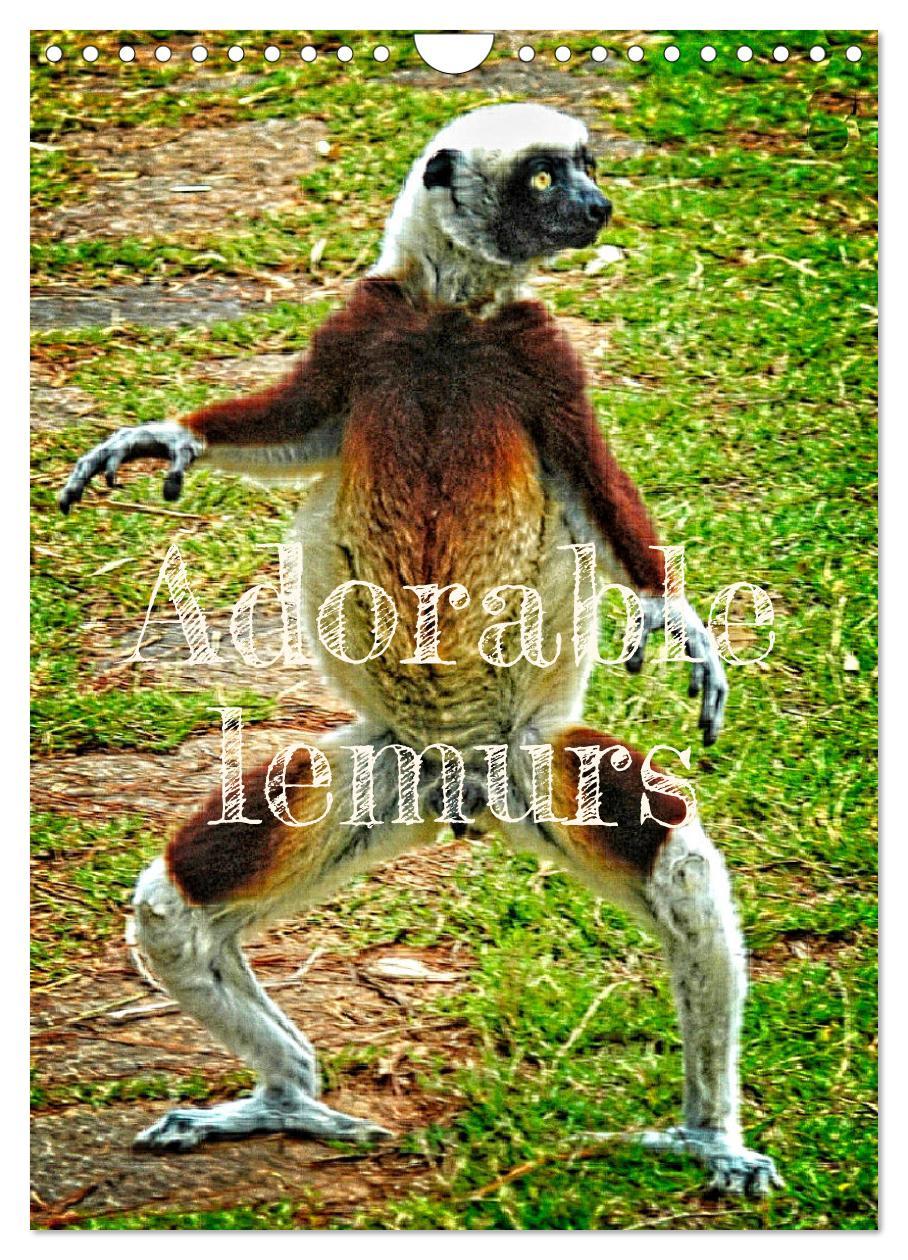 9781325966233