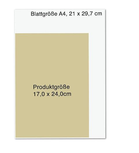additionalImage8