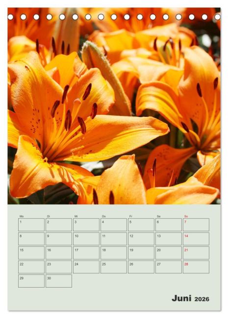 additionalImage11