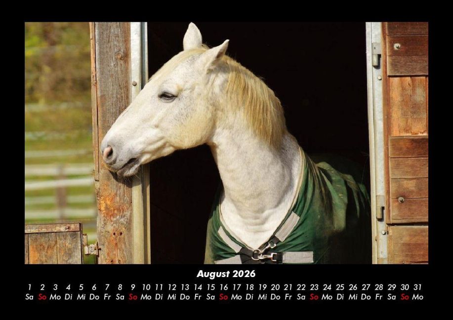 additionalImage12