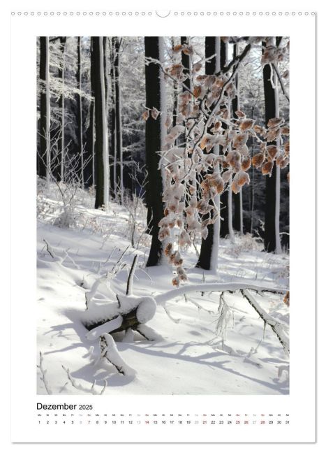 additionalImage3