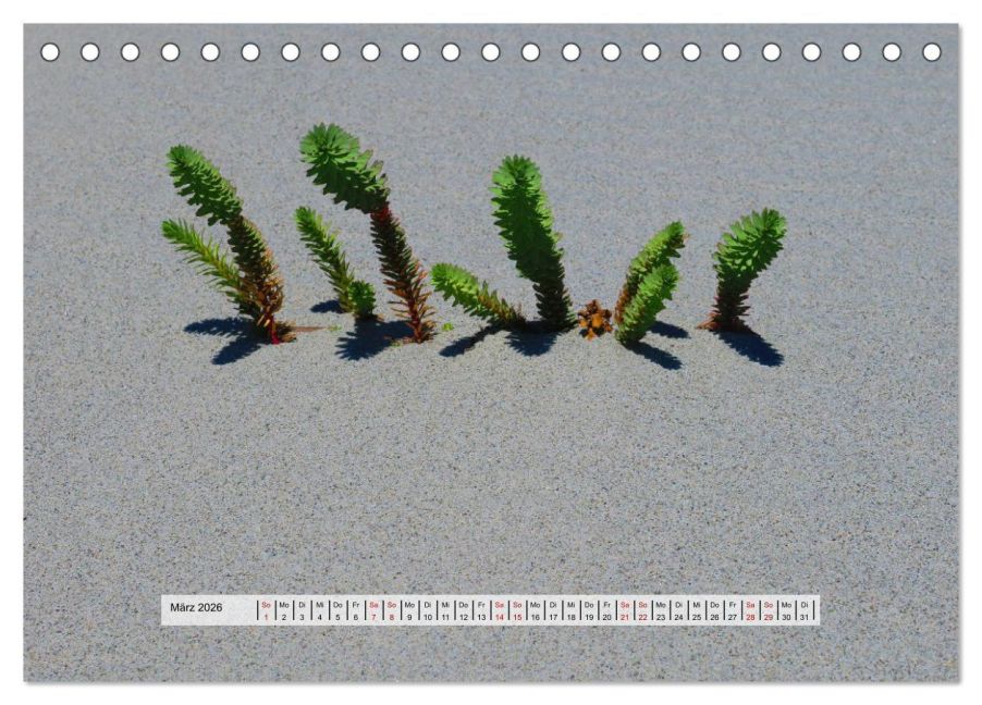 additionalImage8