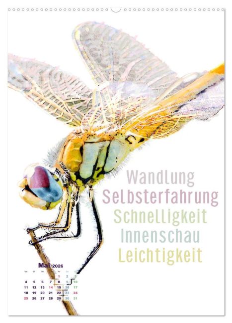 additionalImage9