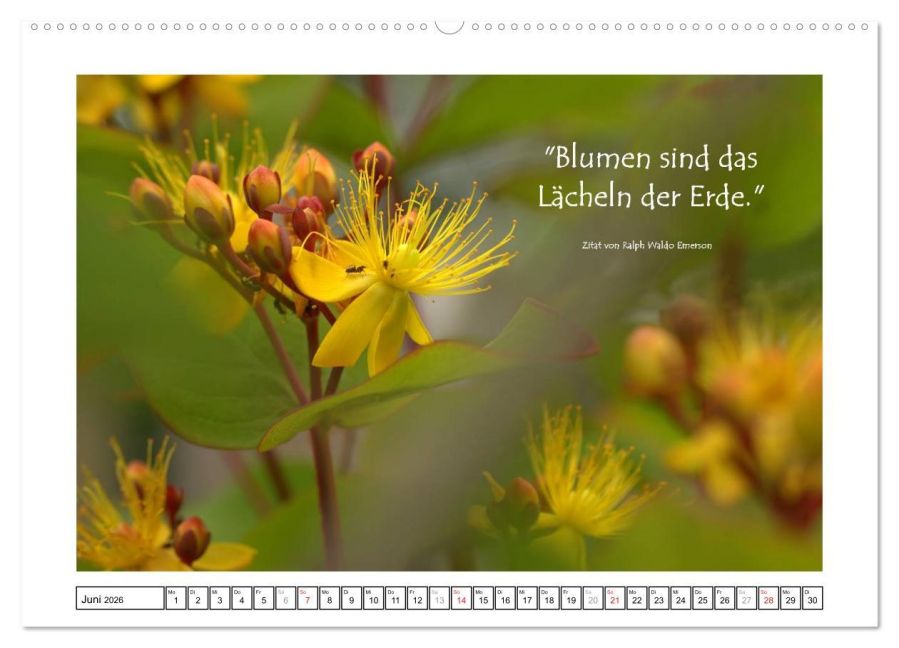 additionalImage11