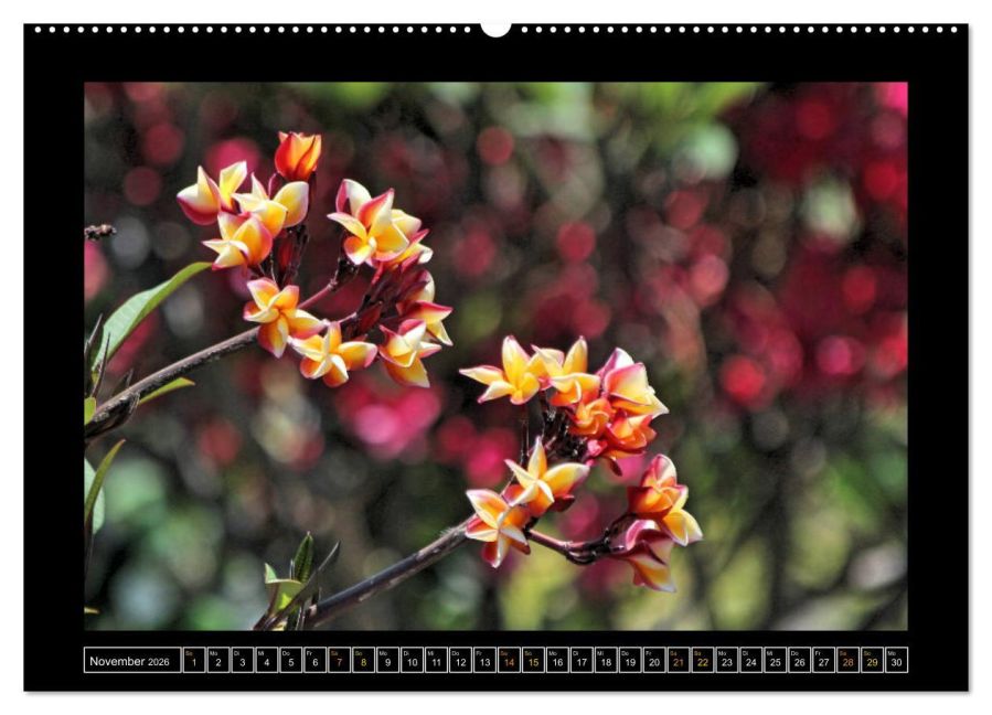 additionalImage2