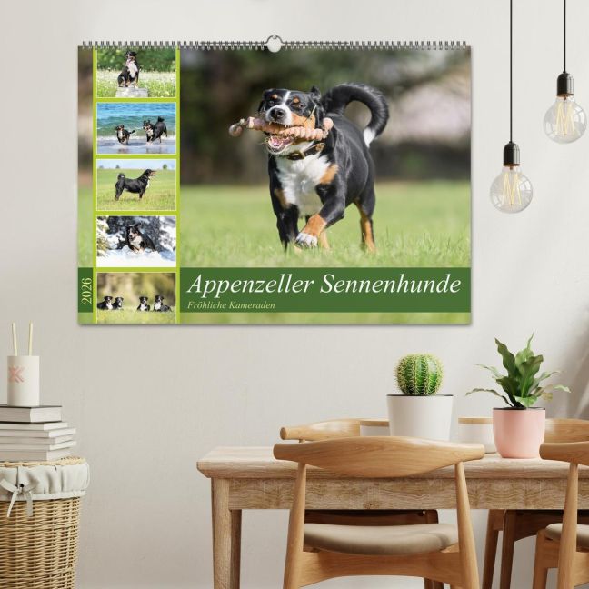 additionalImage1