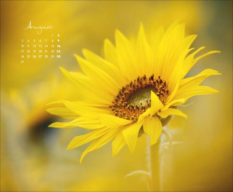 additionalImage8