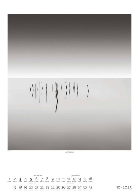 additionalImage10