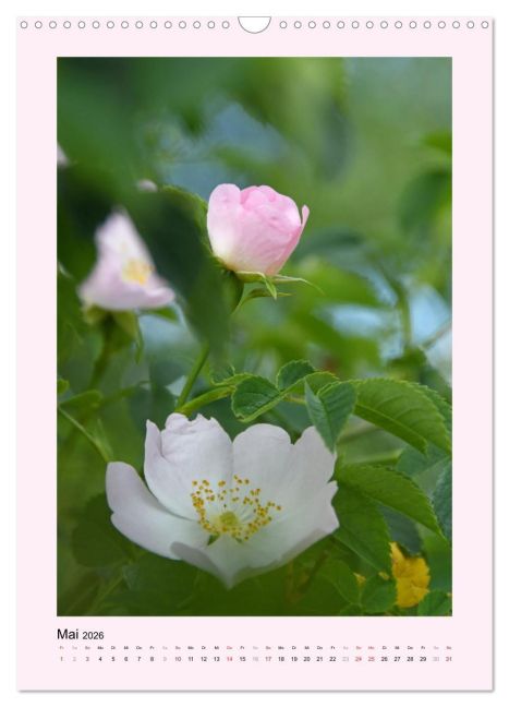 additionalImage10