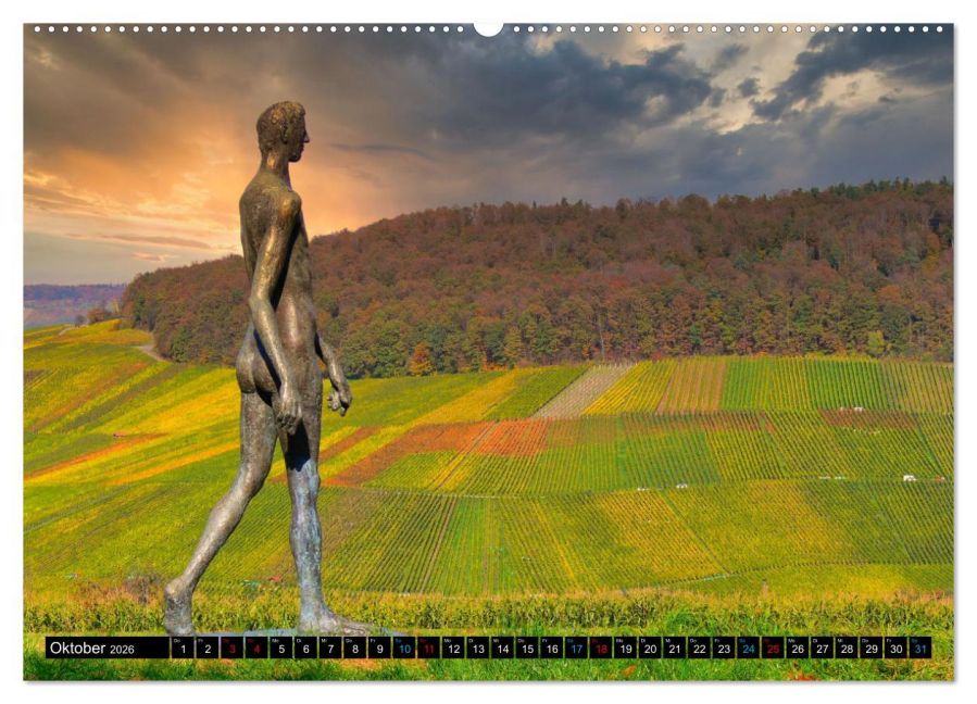 additionalImage1