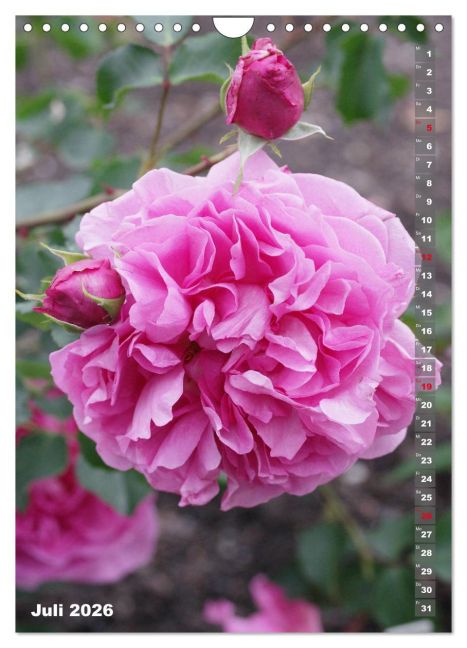 additionalImage12