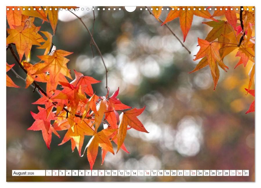 additionalImage13